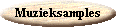 Button1.gif (2194 bytes)